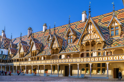 Croisière du coeur de l'Alsace aux sommets des Alpes suisses