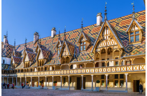 Croisière du coeur de l'Alsace aux sommets des Alpes suisses