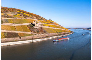 Croisière sur le Rhin et la Moselle (Cochem /Strasbourg)