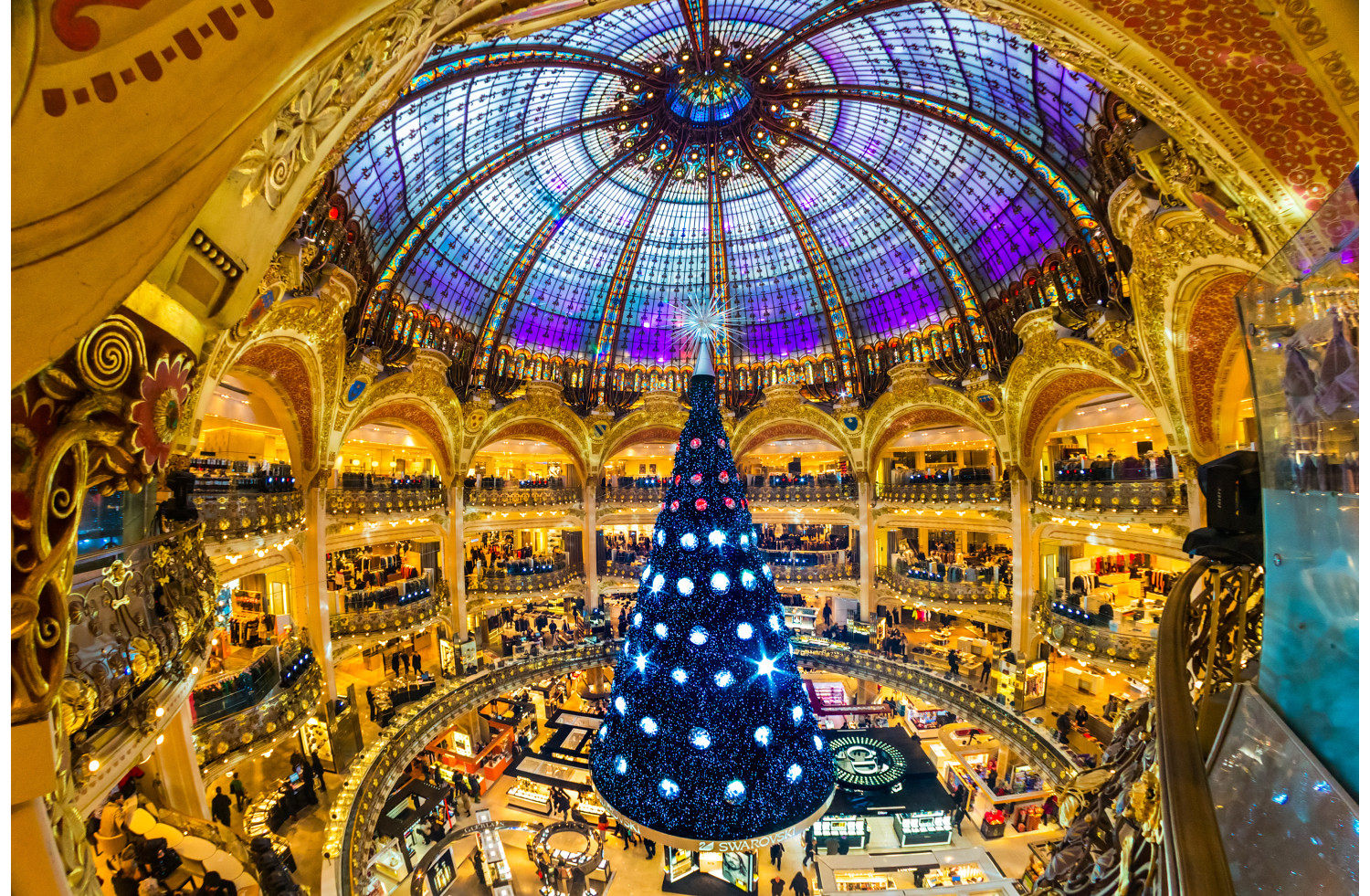 Illuminations de Paris, Notre Dame, Marché de Noël