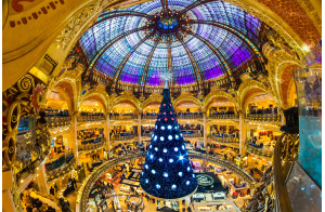 Illuminations de Paris, Notre Dame, Marché de Noël