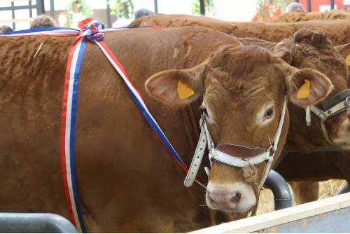 Le Salon de L'Agriculture à Paris 3 jours