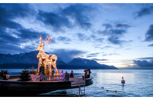 Féerie de Noël au Bord du Lac Leman