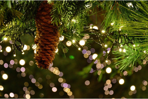 Le Marche de Noël de Barcelone et La Foire aux Sapins