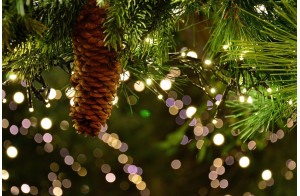 Le Marche de Noël de Barcelone et La Foire aux Sapins