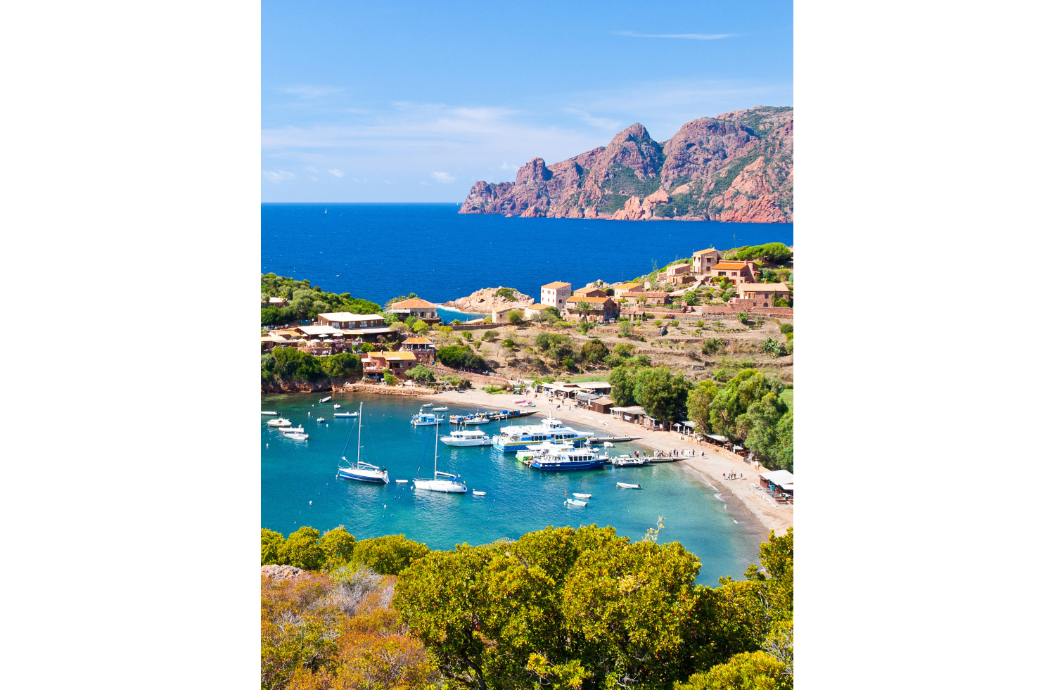 Corse Per Amor.