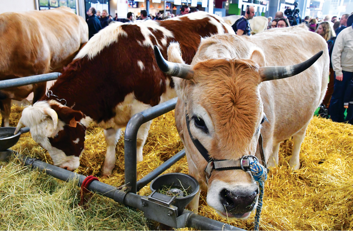 Le salon international de l’agriculture de PARIS 2j