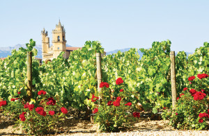 Surprenante Rioja, route des vins